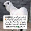 هذه الخدمه تعني:قصاب موشي بالرياض 0503559450 جزار