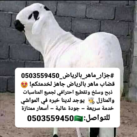هذه الخدمه تعني:قصاب موشي بالرياض 0503559450 جزار