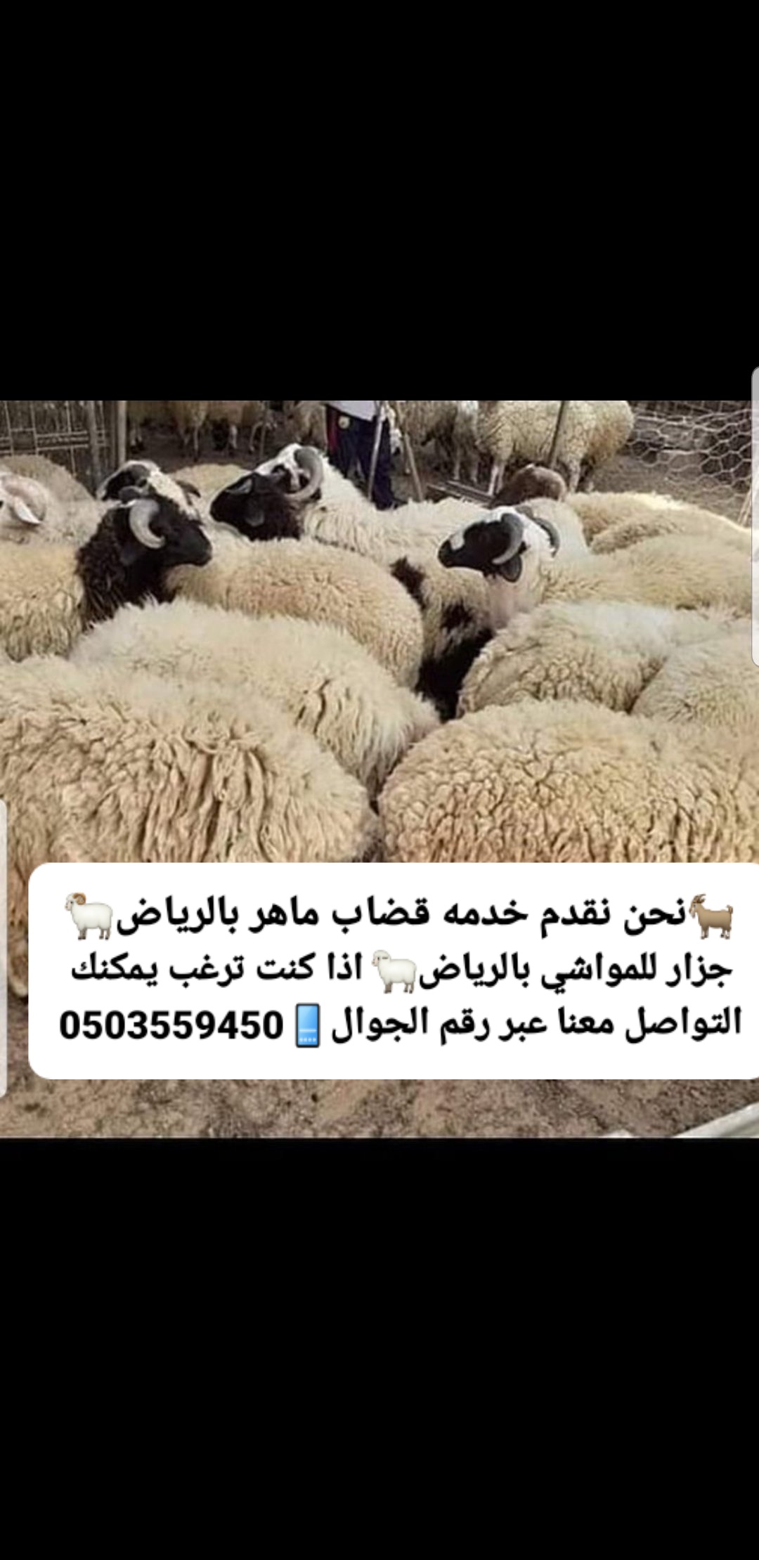 قصاب ماهر بالرياض ذباح 0503559450