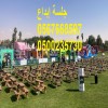 تجهيز معارض ومؤتمرات وحفلات خاصة وعامة
